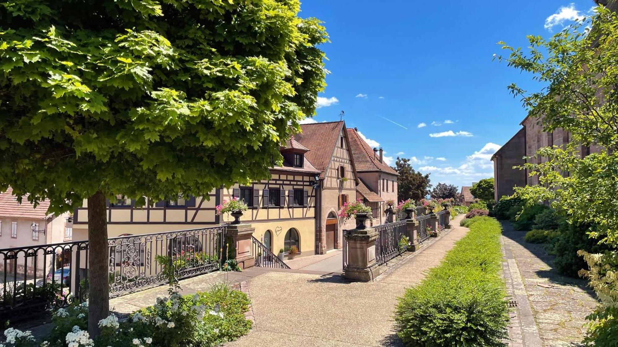 Appartements Duplex 3 Et 4 Personnes - Climatisation - Village Elu Parmi Les "Plus Beaux Villages De France" - Route Des Vins - Centre Alsace Bergheim Buitenkant foto