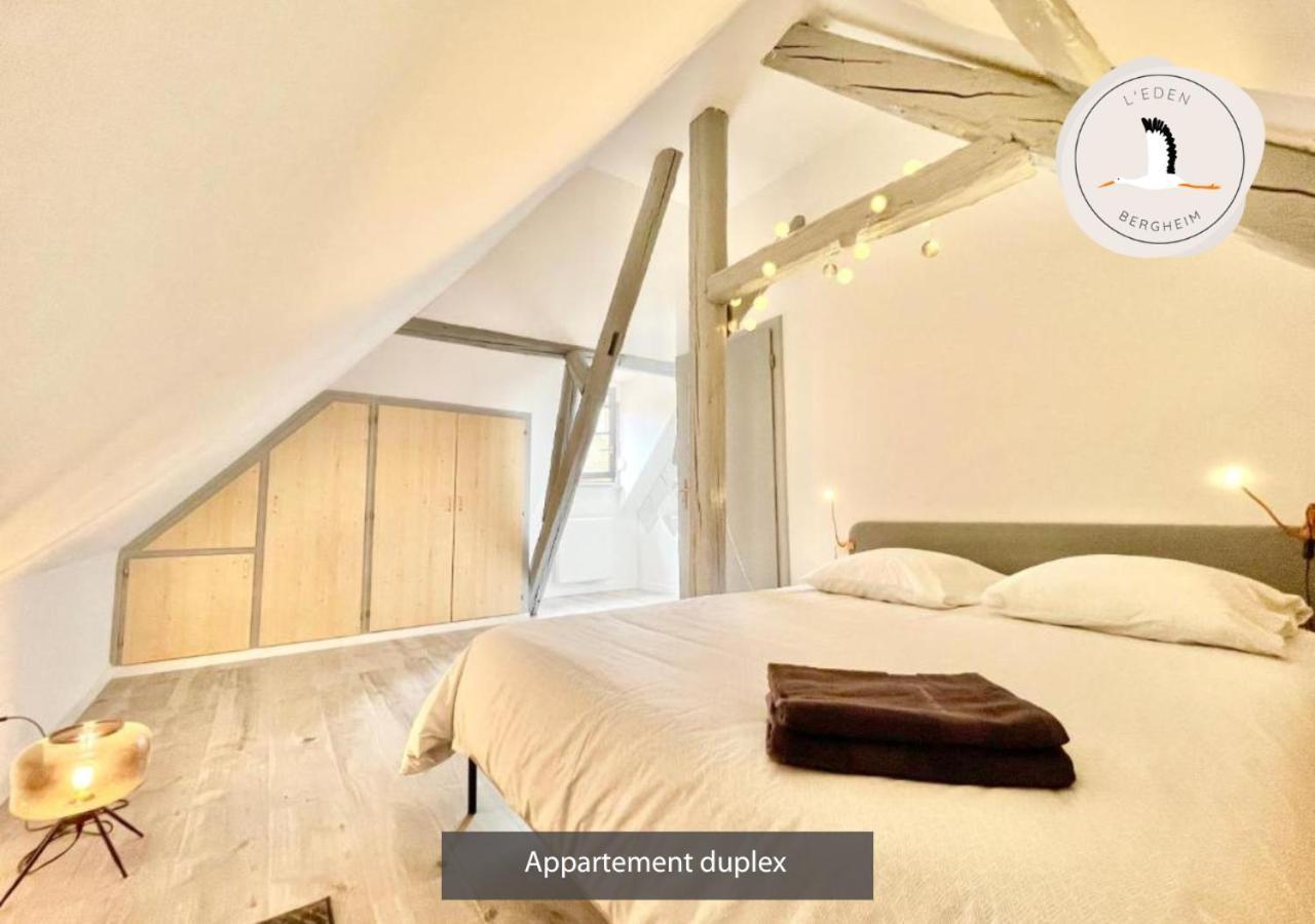Appartements Duplex 3 Et 4 Personnes - Climatisation - Village Elu Parmi Les "Plus Beaux Villages De France" - Route Des Vins - Centre Alsace Bergheim Buitenkant foto