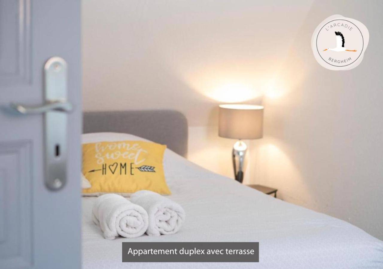 Appartements Duplex 3 Et 4 Personnes - Climatisation - Village Elu Parmi Les "Plus Beaux Villages De France" - Route Des Vins - Centre Alsace Bergheim Buitenkant foto