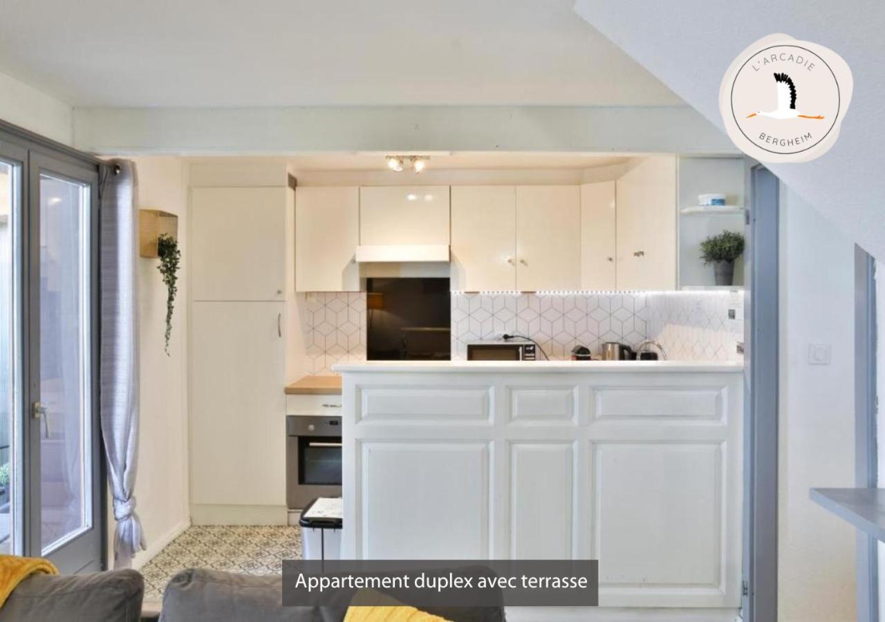 Appartements Duplex 3 Et 4 Personnes - Climatisation - Village Elu Parmi Les "Plus Beaux Villages De France" - Route Des Vins - Centre Alsace Bergheim Buitenkant foto
