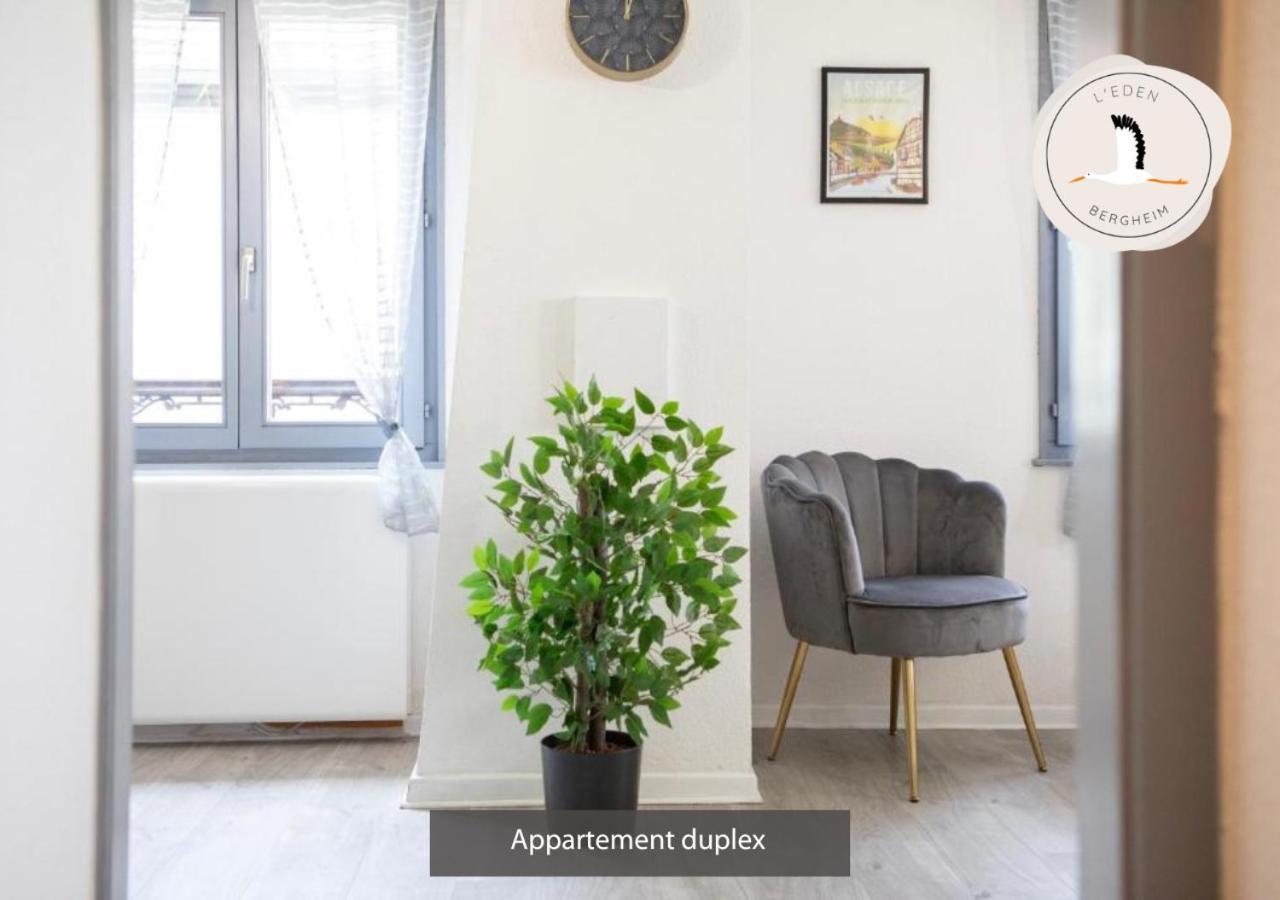Appartements Duplex 3 Et 4 Personnes - Climatisation - Village Elu Parmi Les "Plus Beaux Villages De France" - Route Des Vins - Centre Alsace Bergheim Buitenkant foto